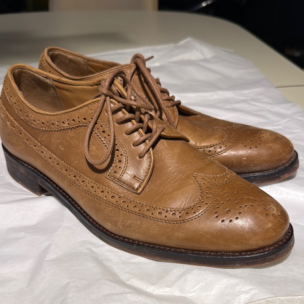 Polo oxford’s